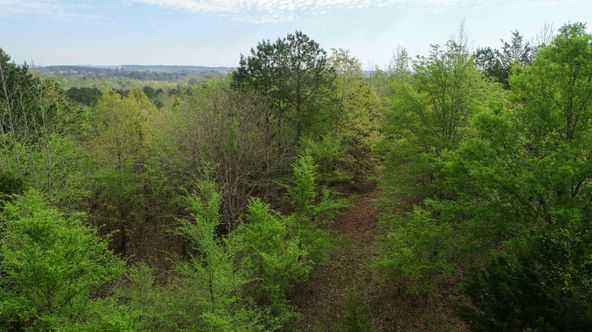 Farris 115 Timber: 00 CR 2215, Daingerfield, TX 75638